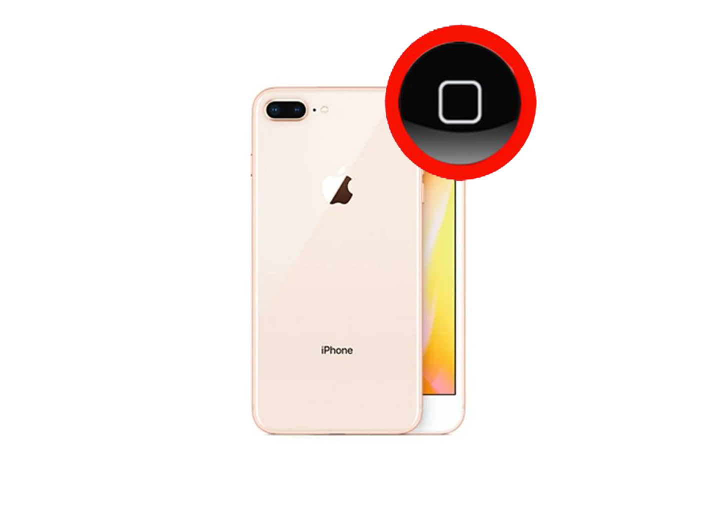 iPhone 8 Plus Home Button Repair Service