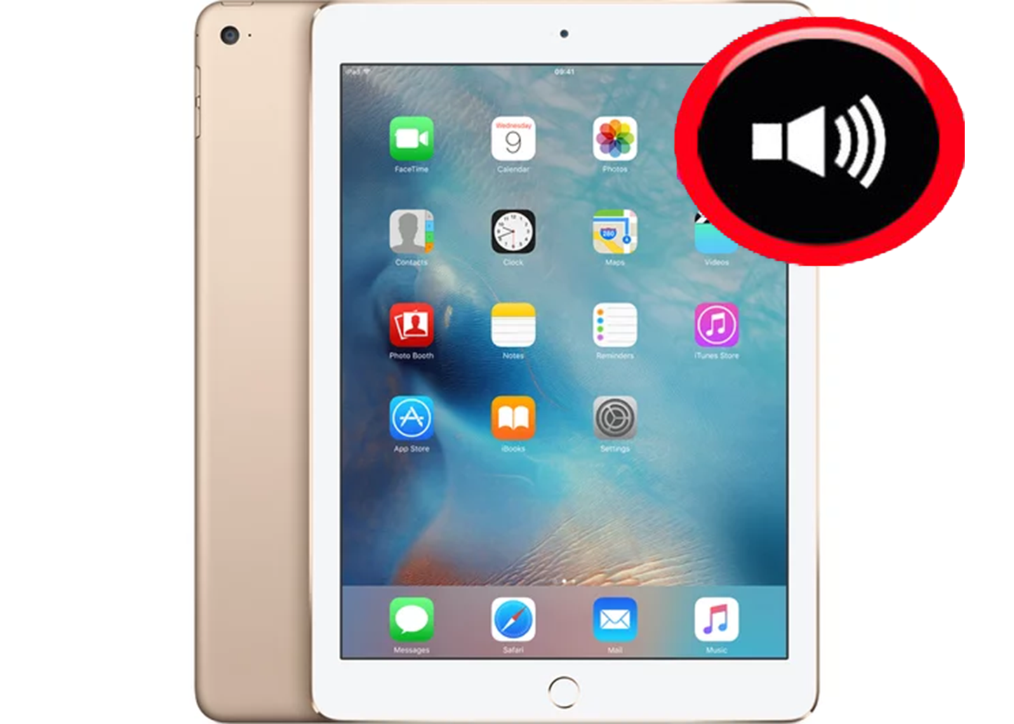 iPad Air Damaged Speaker Service