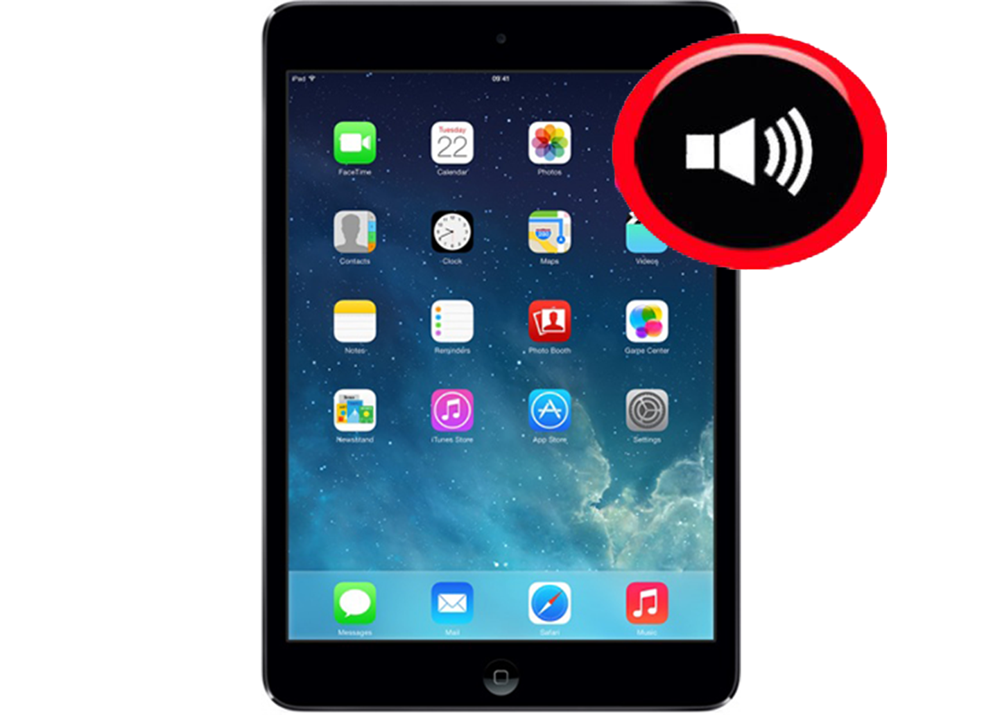 Mini 2 Damaged Speaker Service