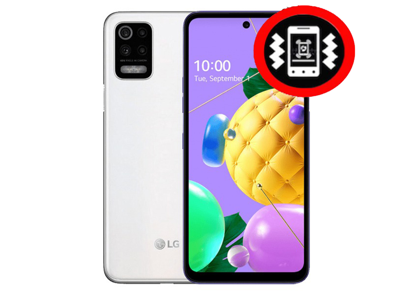 LG 52 Vibration Repair Service